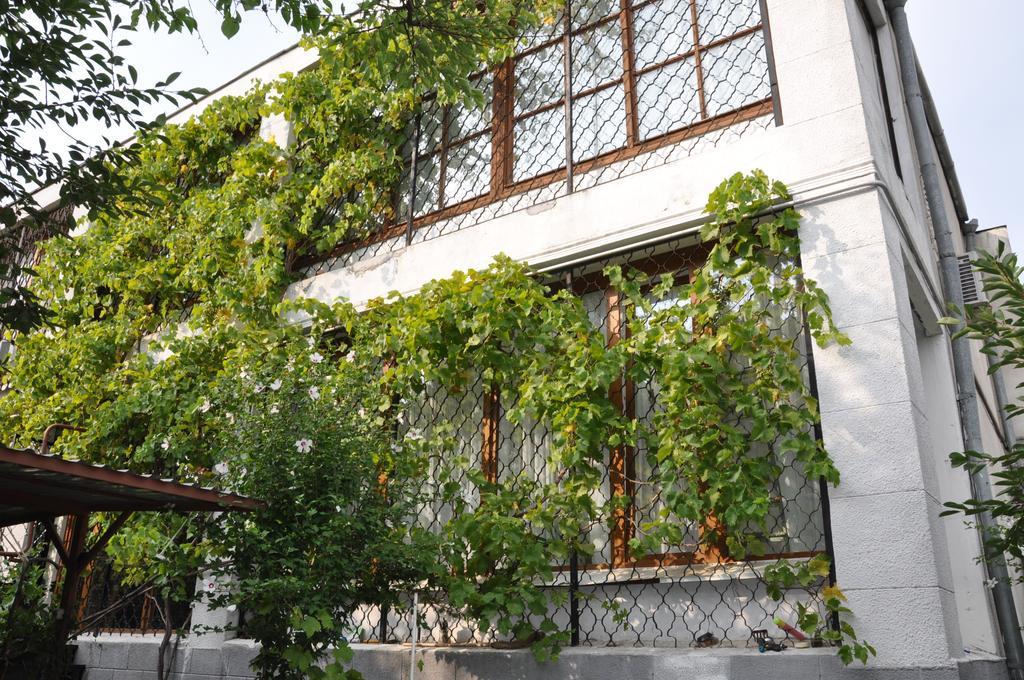 Villa Ivana Odessa Dış mekan fotoğraf
